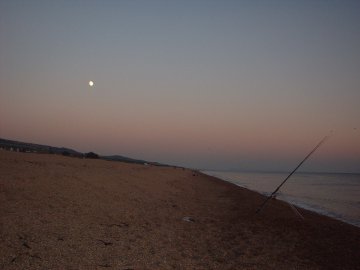 Paignton Sea Anglers Image