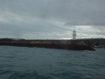 Paignton Sea Anglers Image