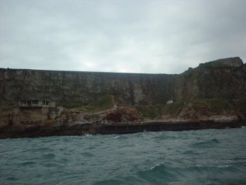 Paignton Sea Anglers Image