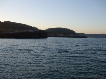 Paignton Sea Anglers Image