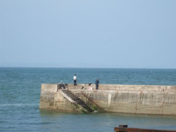 Paignton Sea Anglers Image