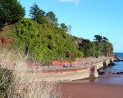 Paignton Sea Anglers Image