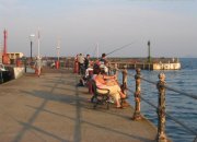 Paignton Sea Anglers Image