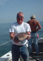 Black Bream