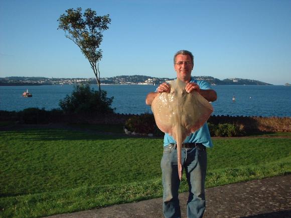 Mike Johnsons Small Eyed Ray