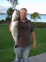 M Adkins Bass