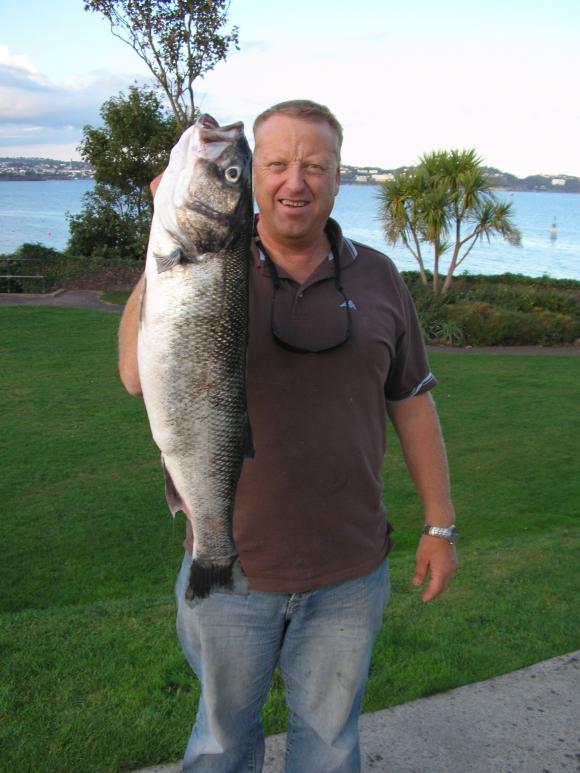 M Adkins Bass